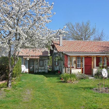 Guesthouse La Burle Parentis-en-Born Rom bilde