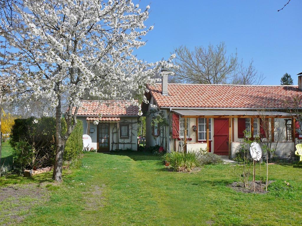 Guesthouse La Burle Parentis-en-Born Rom bilde
