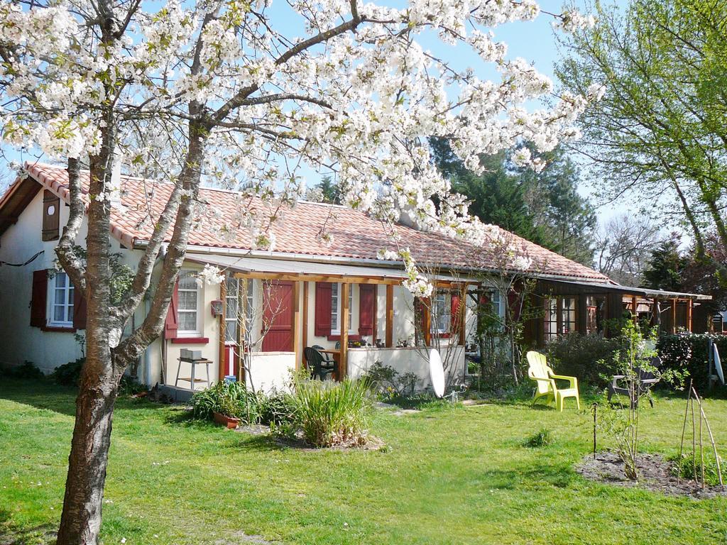 Guesthouse La Burle Parentis-en-Born Rom bilde