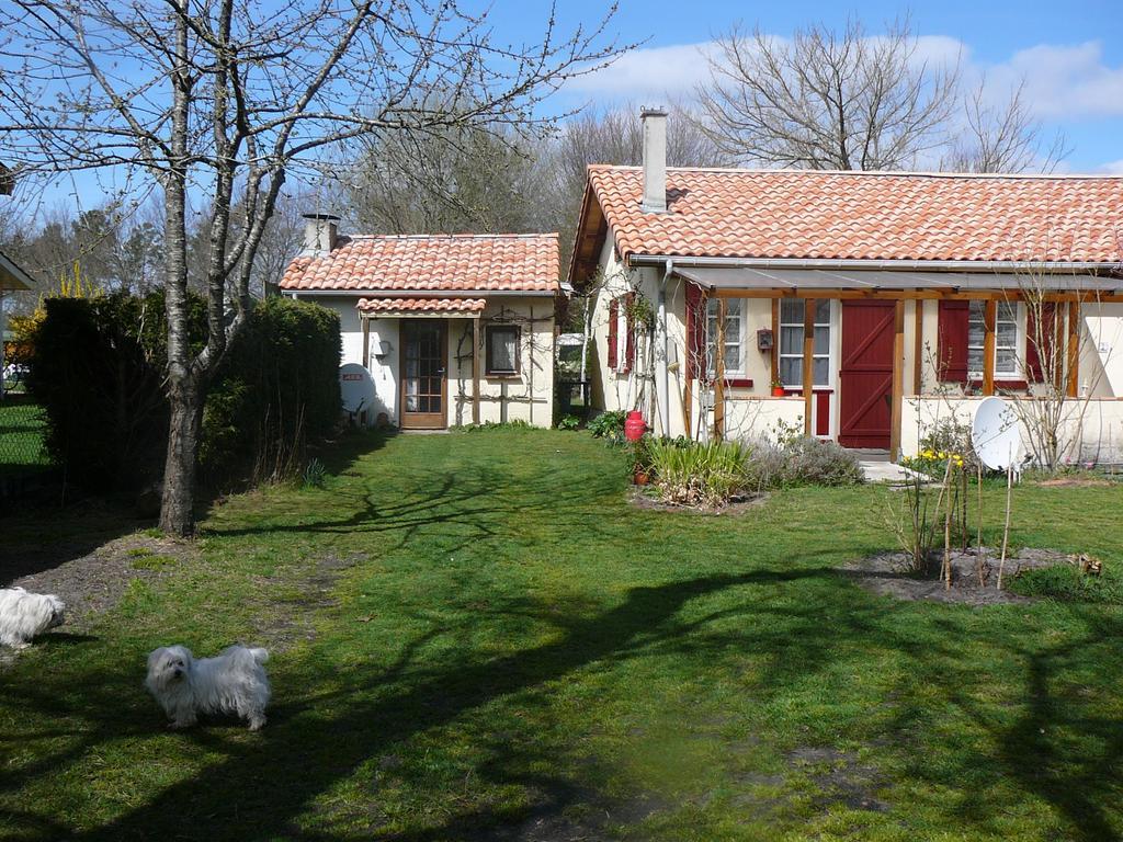 Guesthouse La Burle Parentis-en-Born Rom bilde